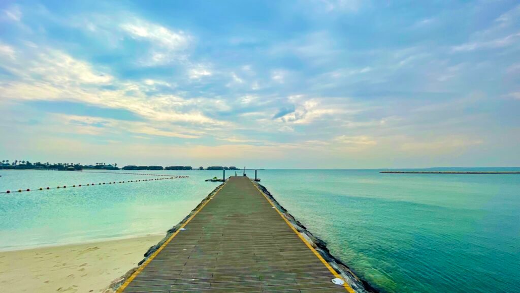 05b7265d a1aa 4a6e b189 1671e4ab5eef 1 201 a