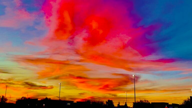 1a307446 e4a1 4f0a 80aa 57da314b1582 1 201 a