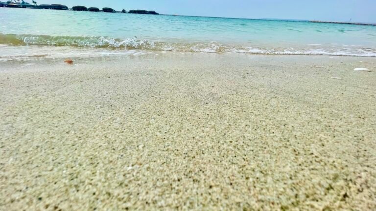 1a7abd89 dbcd 4704 8792 3f86e243b1b2 1 201 a