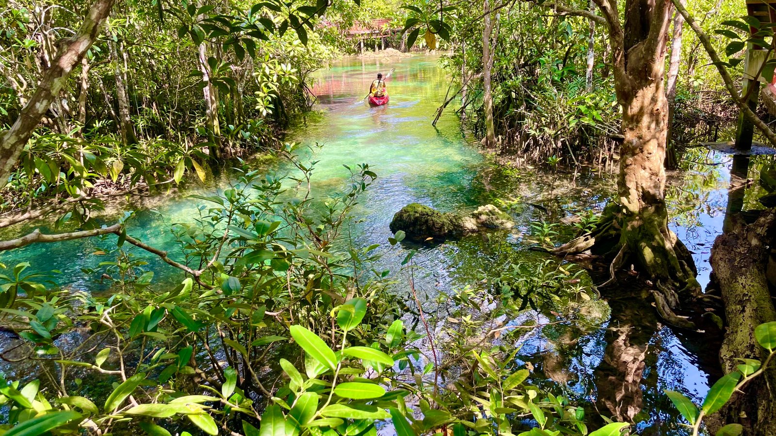 3fea4d93 97ac 4753 a1cf 631a59441fea 1 201 a