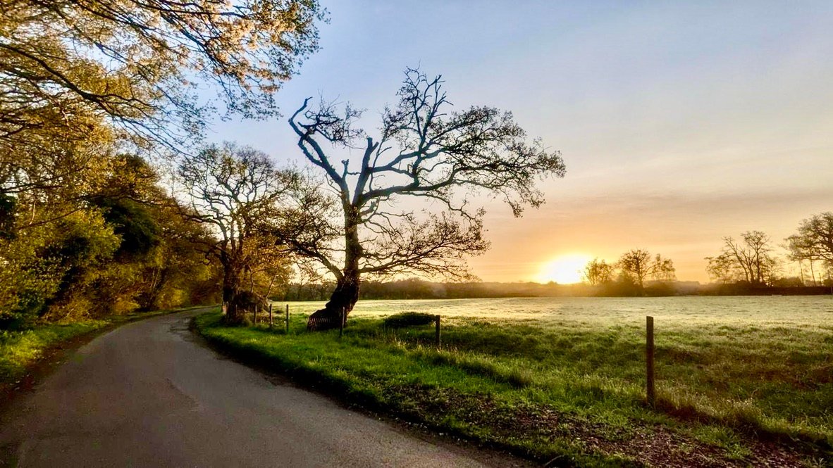 4c77d26e c9ce 4db9 ad24 5737bc261785 1 105 c