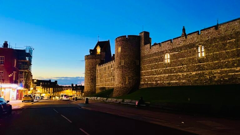 5c58cd40 dc81 455d a142 3fdb7e5ea598 1 201 a