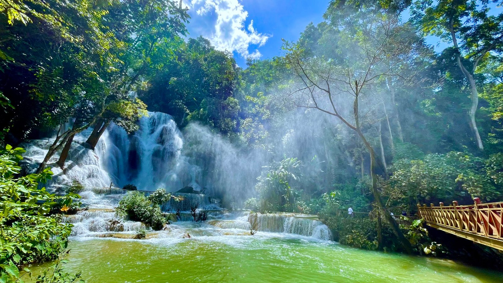 8e8e8bdb 8b67 4ffb b6f1 f839e17ca3c7 1 201 a