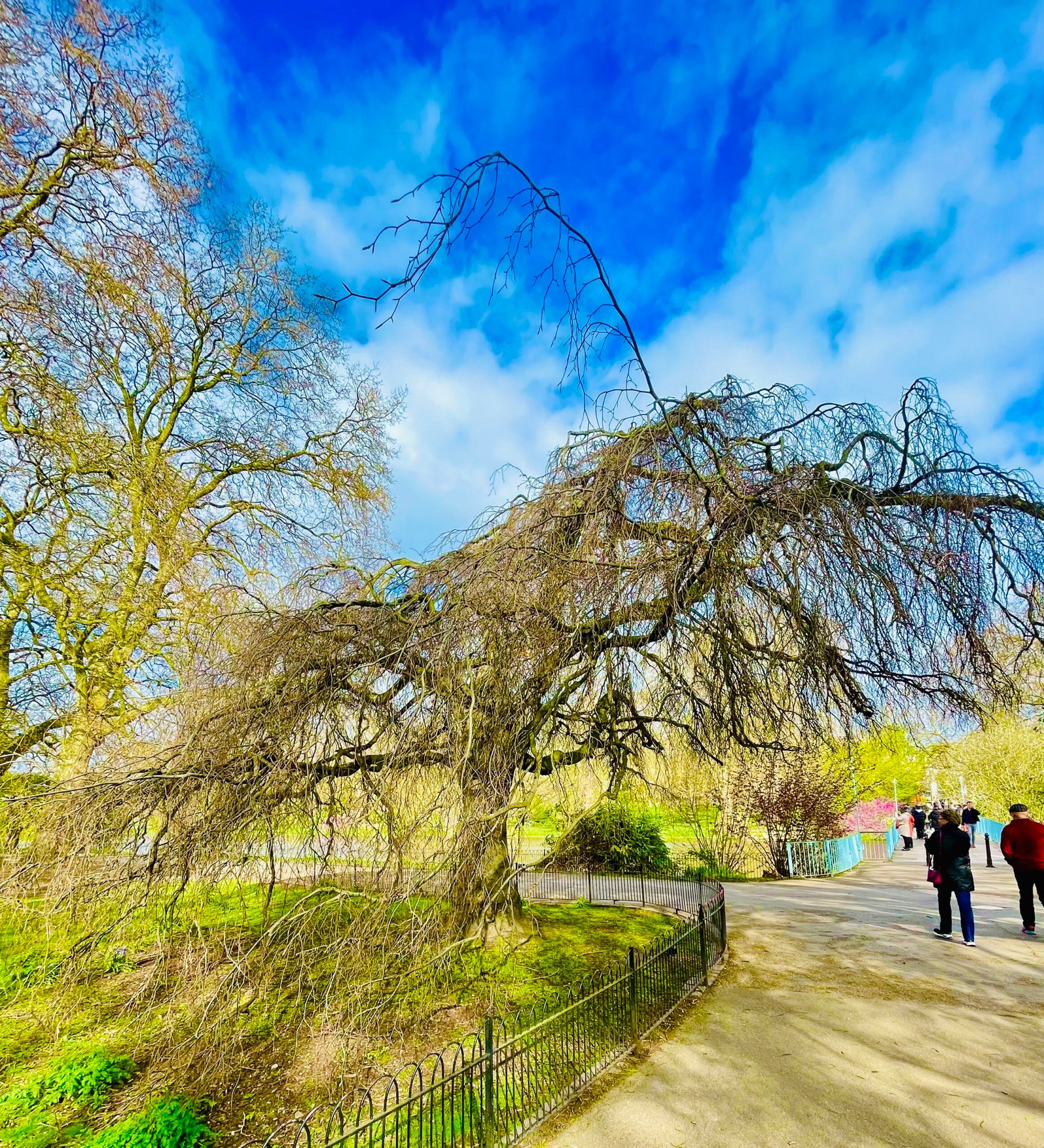 e7017d87 ec46 4248 a270 5c491db5e4a8 1 201 a