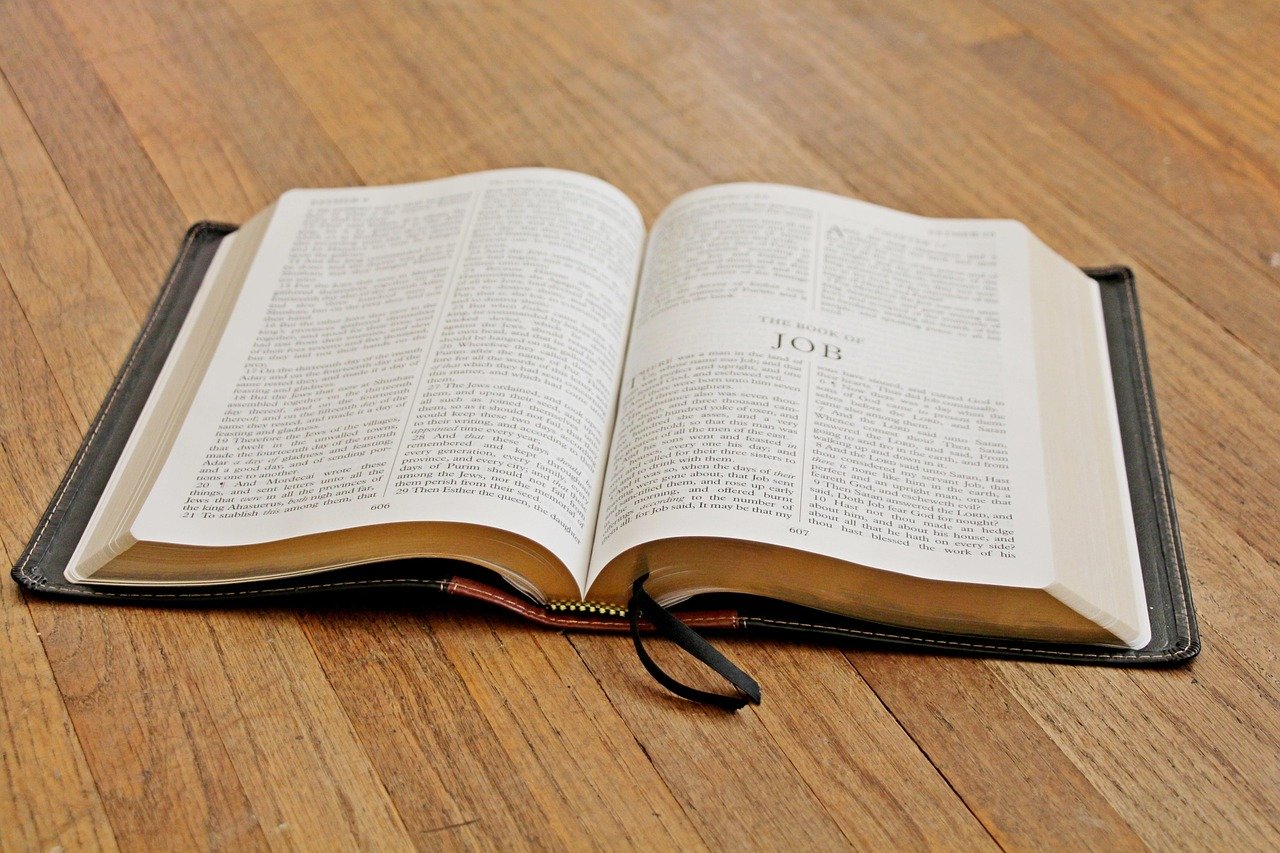 king james version, kjv, bible, book of job, job, christianity, christian, holy scriptures, book, holy bible, wood, bible, bible, bible, bible, bible