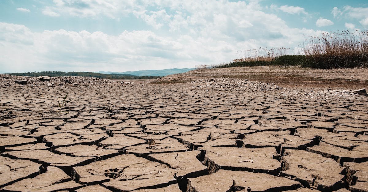 A stark landscape of cracked dry earth beneath a clear blue sky, depicting arid climate and drought.