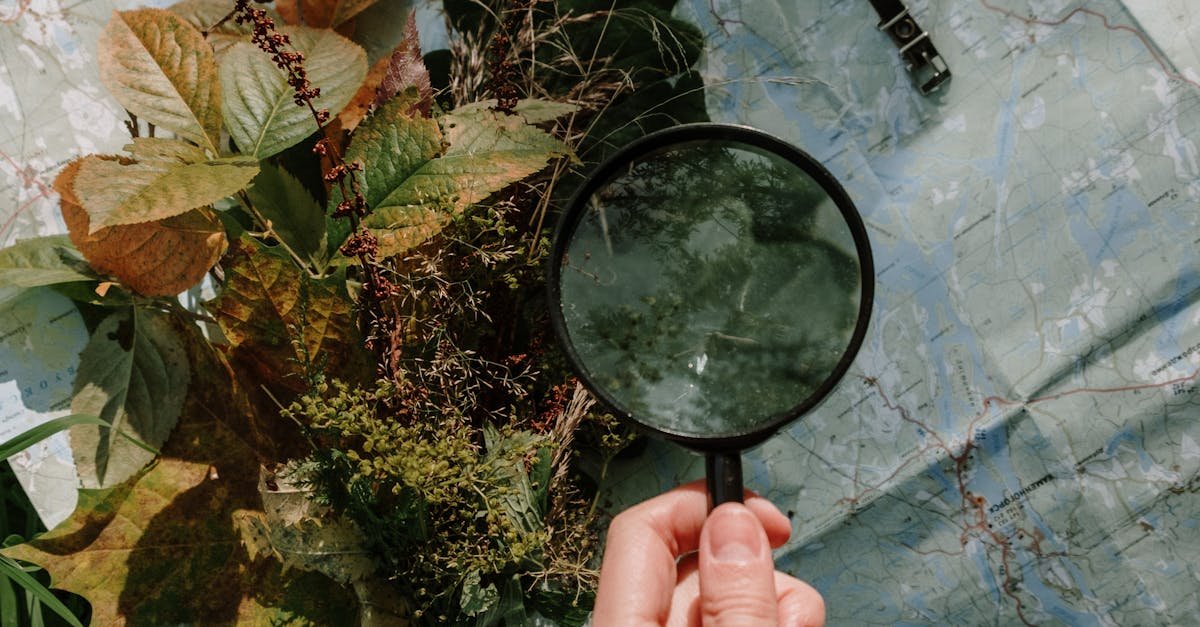 Person holding a magnifying glass over a map with foliage and a compass.