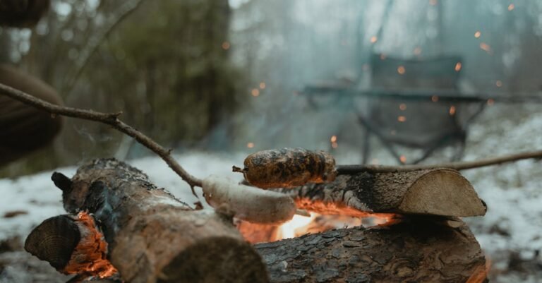 Cozy winter campfire scene with sausages cooking on sticks over burning logs in a forest setting.