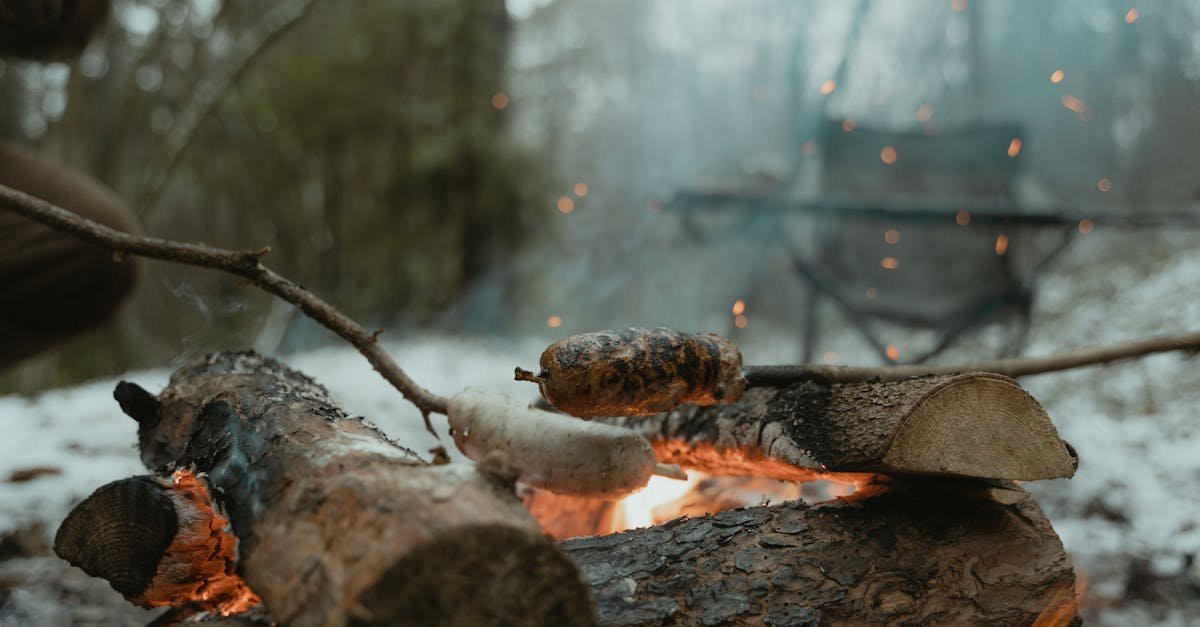 Cozy winter campfire scene with sausages cooking on sticks over burning logs in a forest setting.