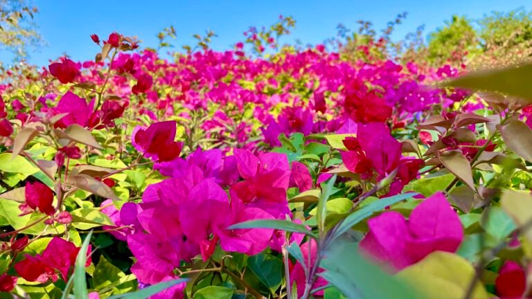 85e508bd 40bc 4873 a364 484487503286 1 201 a