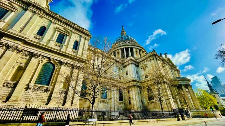 a1c13ed2 2940 476e a6a3 2111923d8f34 1 201 a