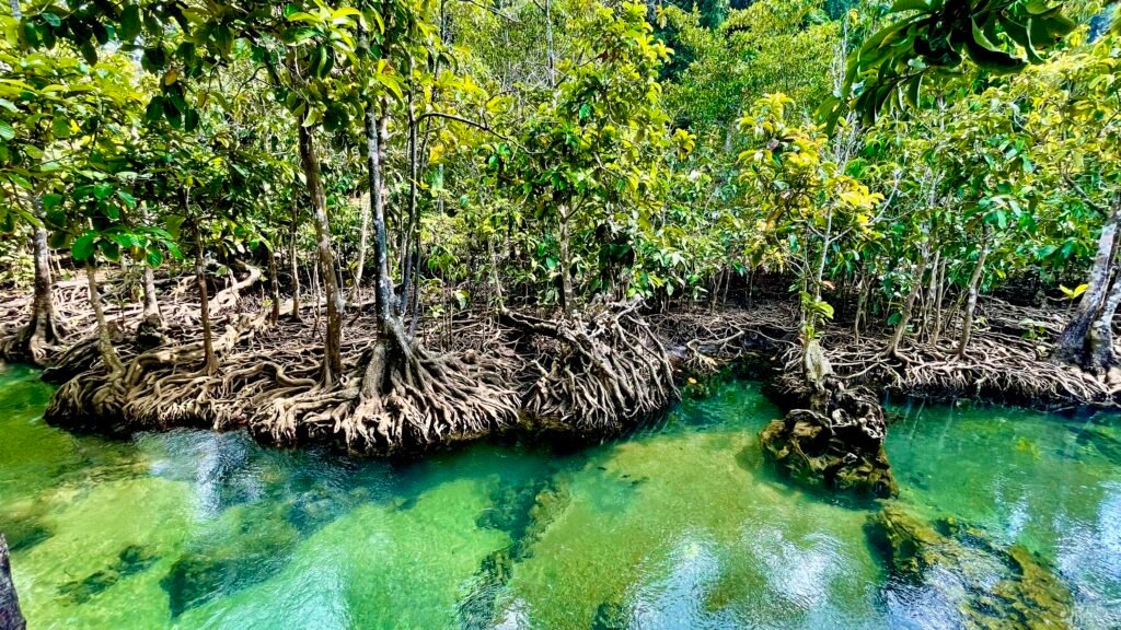 Week 6: Exodus Chapters 1 to 20 dd6b0f0c cc19 4e55 a94a 8f88afd70ab8 1 201 a