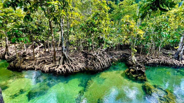 dd6b0f0c cc19 4e55 a94a 8f88afd70ab8 1 201 a