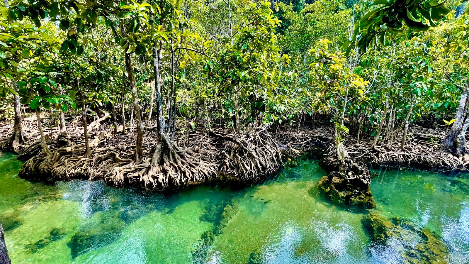 dd6b0f0c cc19 4e55 a94a 8f88afd70ab8 1 201 a