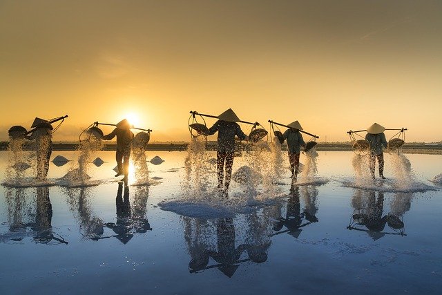 salt harvesting, vietnam, water, salt, work, people, reflection, nature, hon khoi, salt field, salina, tropical, agriculture, asia, harvest, asian, hats, traditional