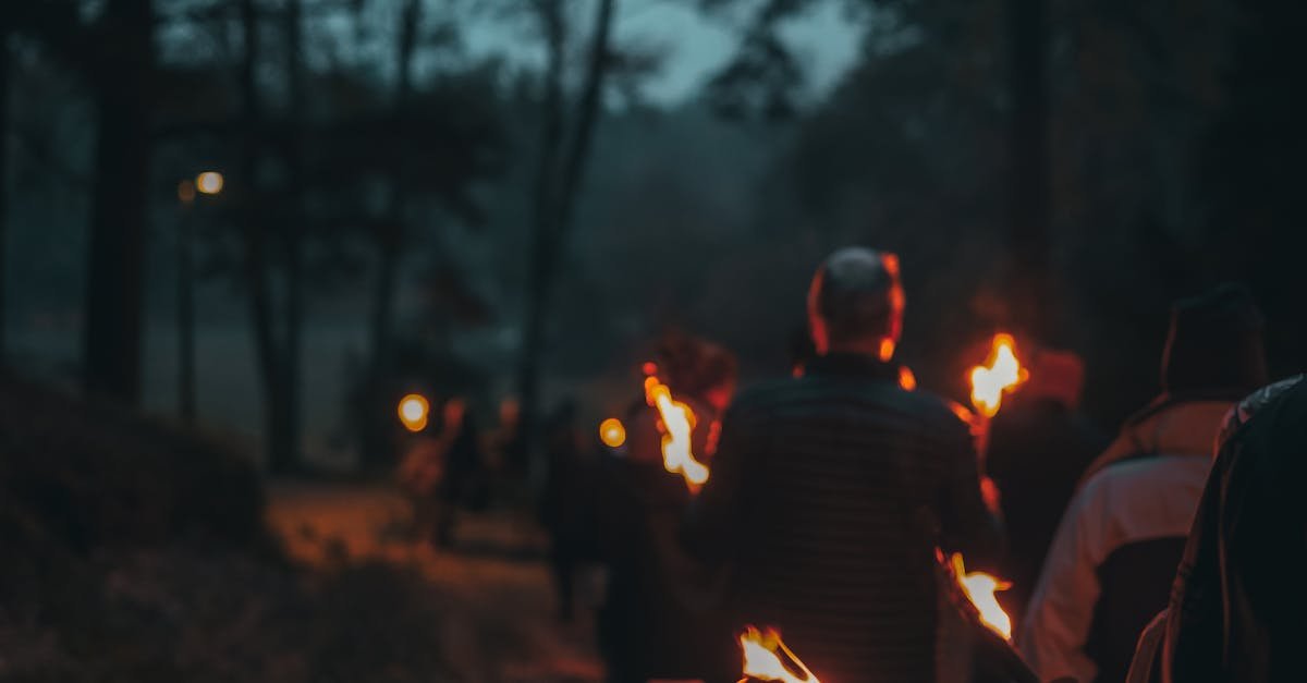 Group walking with torches through a dark forest at night, creating a mystical atmosphere.