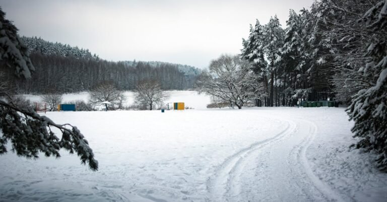 A serene winter scene with snow-covered trees and landscape in Minsk region, Belarus.