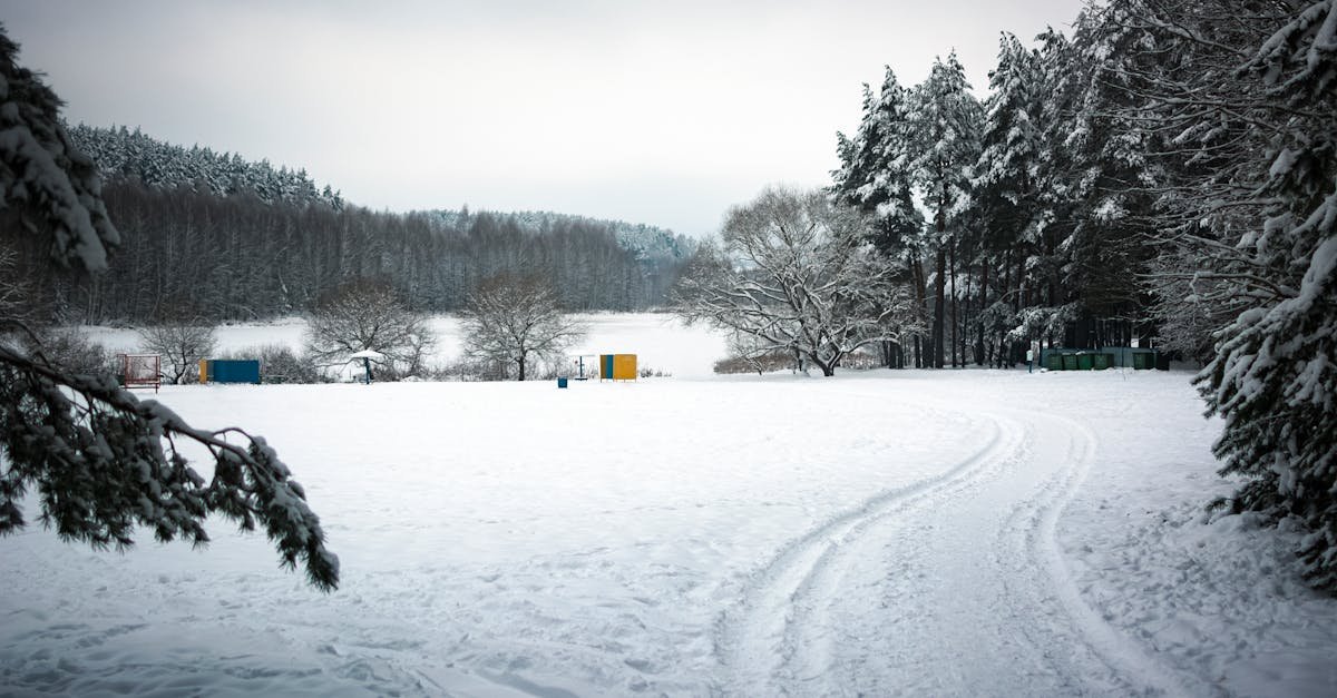 A serene winter scene with snow-covered trees and landscape in Minsk region, Belarus.