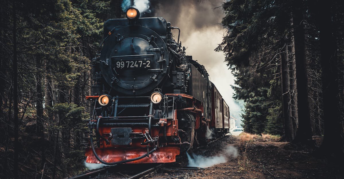 A vintage steam train travels through a dense forest under dramatic skies, exuding nostalgia and adventure.