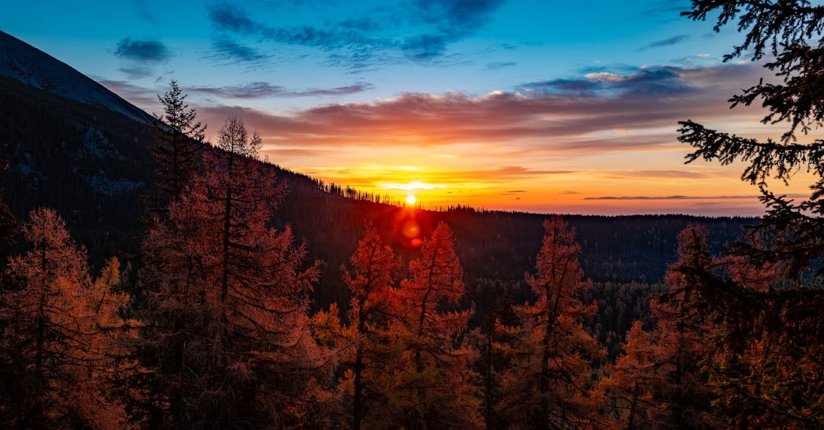 Stunning sunrise view over autumn forest in Vysoké Tatry, Slovakia.