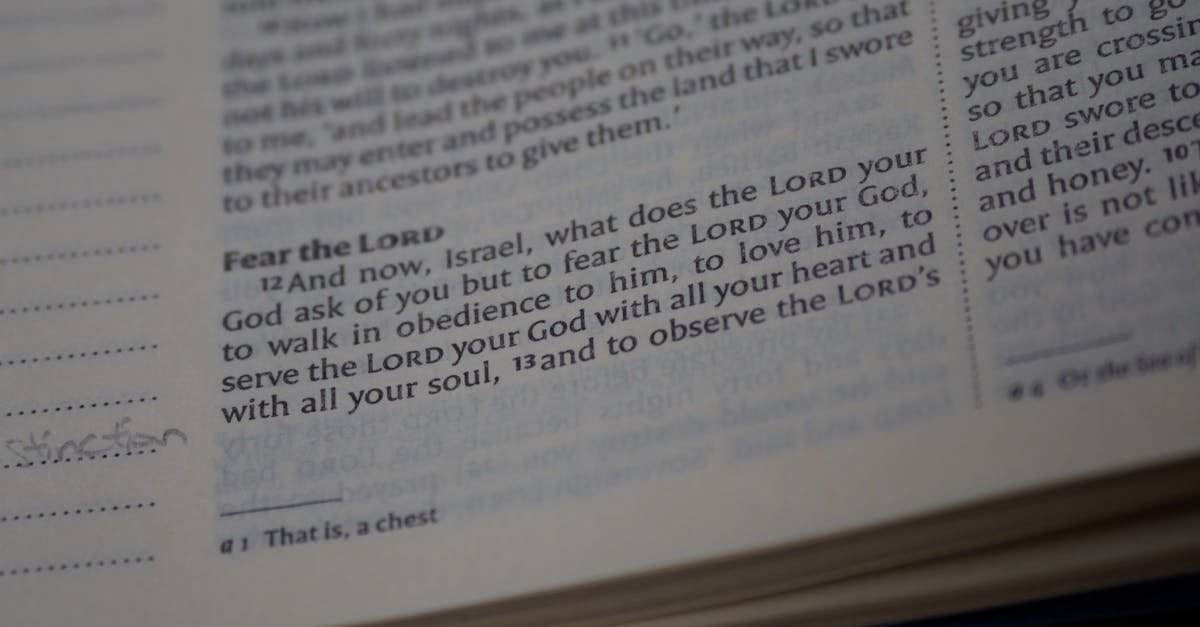 Close-up of a Bible page highlighting scripture with selective focus on text.