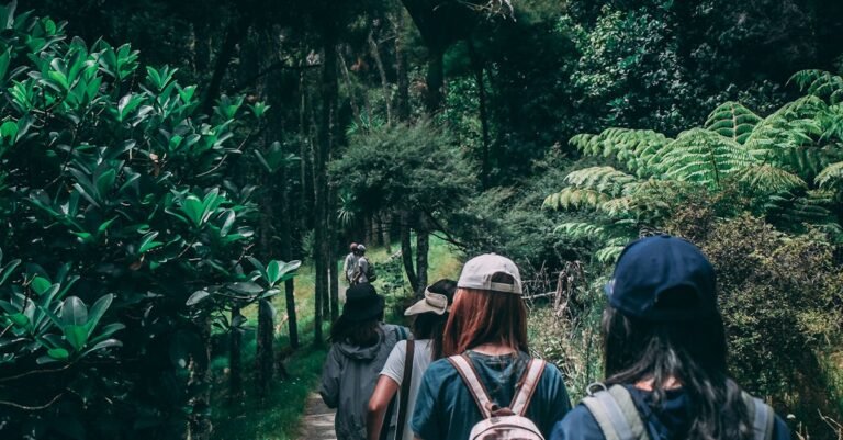 Women hiking along a scenic forest trail, enjoying nature and exploration.