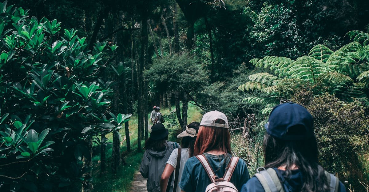 Women hiking along a scenic forest trail, enjoying nature and exploration.