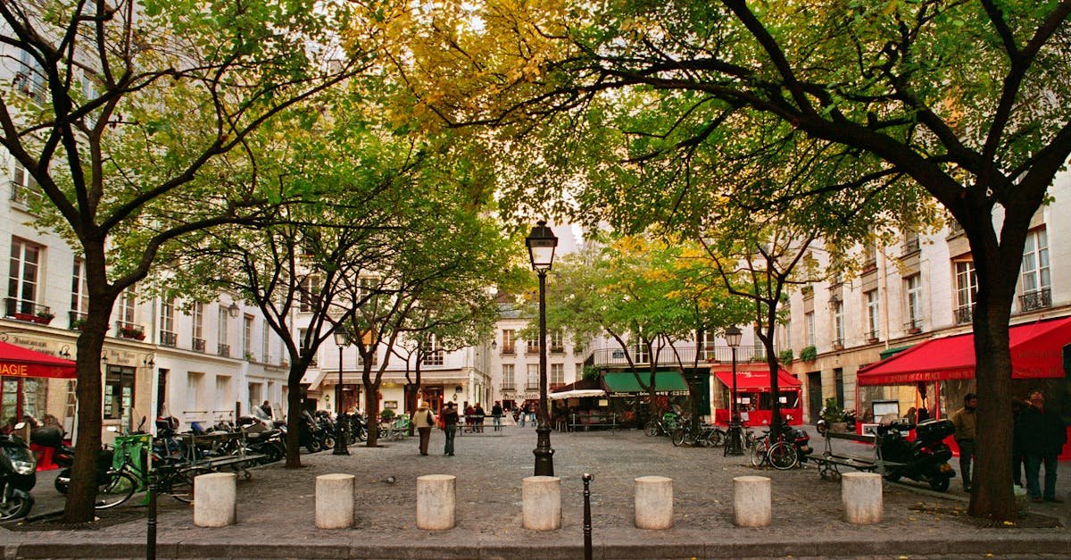 Scenic view of a quaint Parisian plaza with autumn trees and bustling cafes.