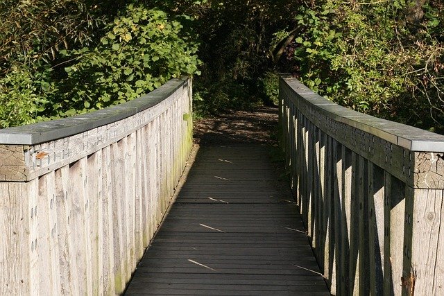 Week 13: Deuteronomy Chapters 18 to 34 path, boardwalk, transition, wooden bridge, bridge, crossing, boardwalk, transition, transition, transition, wooden bridge, wooden bridge, wooden bridge, wooden bridge, wooden bridge
