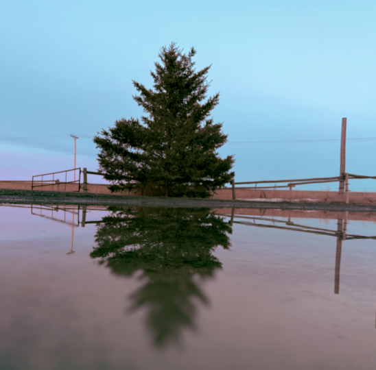 Week 14: Book of Joshua nice